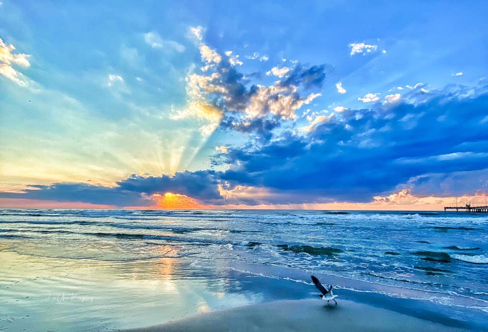 A seagull is sitting on the beach at sunset.