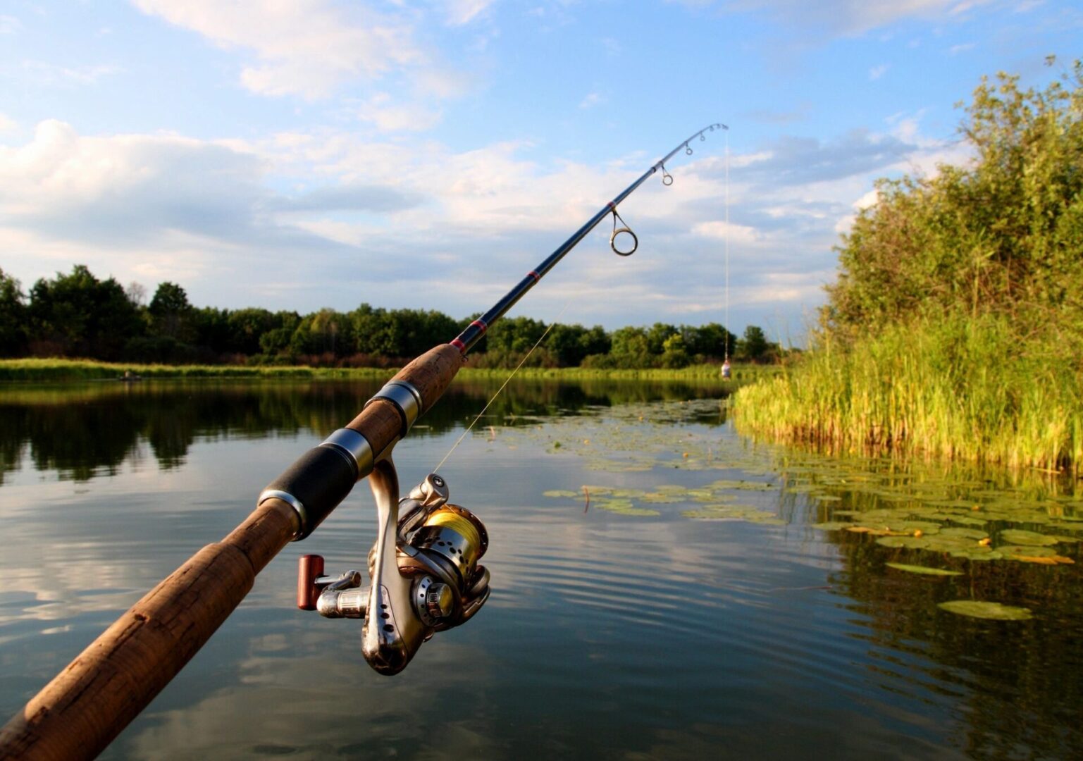 A person fishing in the water with a rod and reel.