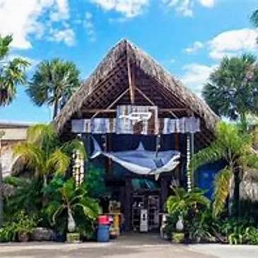 A tiki bar with palm trees and blue sky